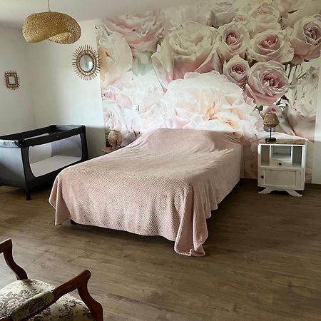 Saint-Appolinard Chez Ghislaine别墅 外观 照片